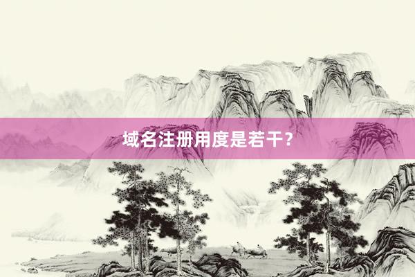 域名注册用度是若干？