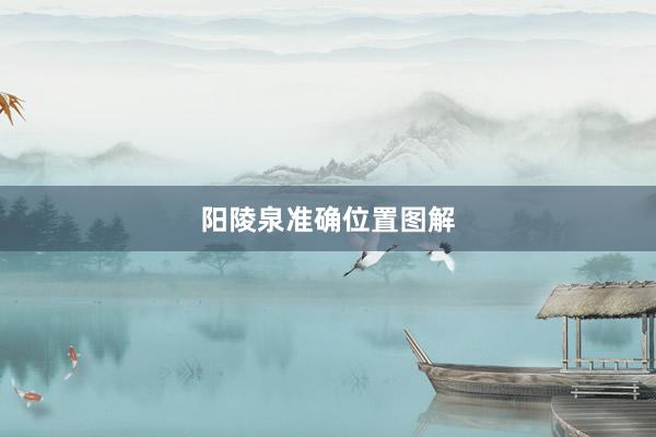 阳陵泉准确位置图解