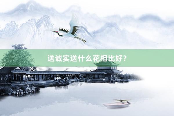 送诚实送什么花相比好？